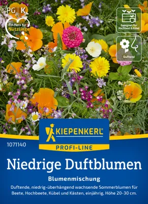 Produktbild von Kiepenkerl Blumensamen Niedrige Duftblumen 2 - 4 m²