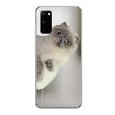 Produktbild von MuchoWow® Handyhülle Schutzhülle Hülle für Samsung Galaxy S20 Katze - Tier - Wohnzimmer Silikon Softcase Handy Hülle - Bild
