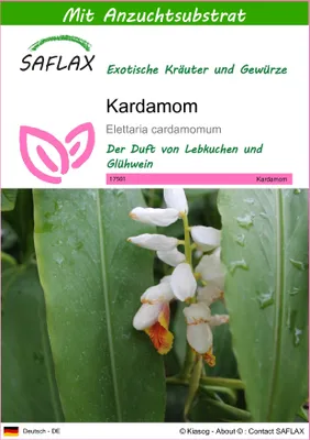 Produktbild von SAFLAX - Kardamom - Elettaria cardamomum - 20 Samen - Mit keimfreiem Anzuchtsubstrat