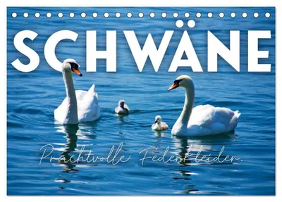 Produktbild von Schwäne - Prachtvolle Federkleider. (Tischkalender 2027 DIN A5 quer), CALVENDO Monatskalender