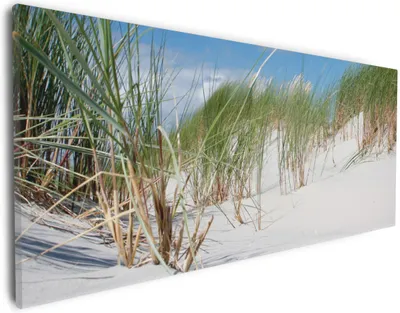 Produktbild von Wallario Premium Leinwandbild Düne am Strand unter blauem Himmel in Größe 30 x 75 cm
