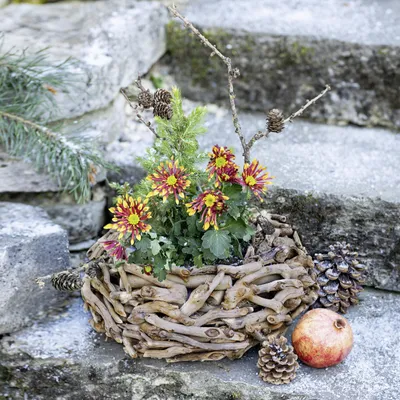 Produktbild von Pflanzer Treibholz rund Ø 38cm – Pflanzschale