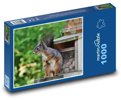 Obrázok produktu pre Puzzle 1000 Veverica pri krmítku - martinpuzzle