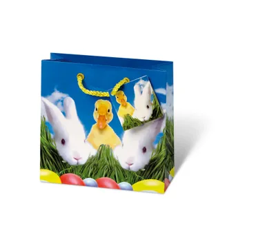 Produktbild von Tasche klein Küken+Hase 14,5