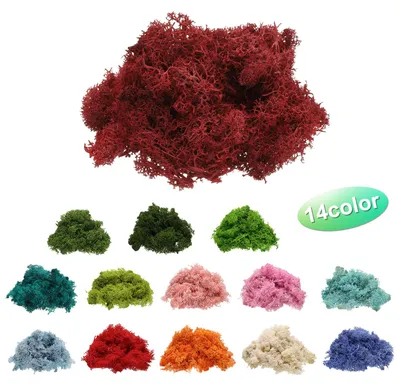 Produktbild von Erhaltene Rentiermoos, 4 OZ Fake Moos fš¹r Handwerk Kš¹nstliches Getrocknetes Moos fš¹r Dekoration, Handwerk, Terrarien, Topfpflanzen, Mittelstš¹cke Feeng?rten (Dunkelrot)