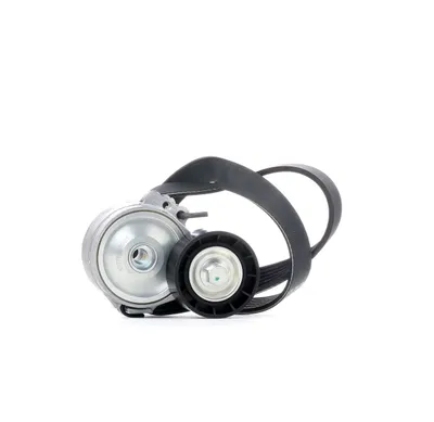 Produktbild von RIDEX 542R0092 Keilrippenriemensatz passend für PEUGEOT 206 Schrägheck (2A/C)