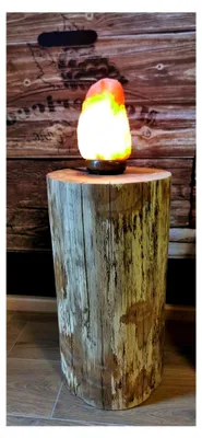 Produktbild von Beistelltisch aus rustikalem Buchenbaumstamm, Ø 25-30 cm, 20 cm hoch