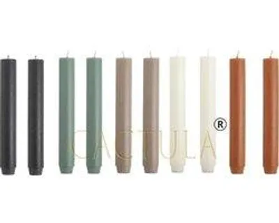 Imagen del producto de Velas Cactula Dicke Stabkerzen – Cool Breeze – 10 unidades – 18 cm – Ø 2,6 cm