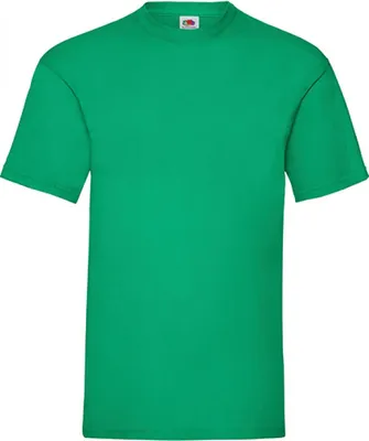 Image de Fruit of the Loom T-Shirt Valueweight