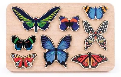Produktbild von Bajo Lernspielzeug Schmetterlinge - World of butterflies sorter