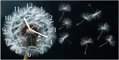 Produktbild von Wanduhr aus Glas mit Motiv Pusteblume im Wind- 60 x 30 cm - inkl. Aufhängesystem