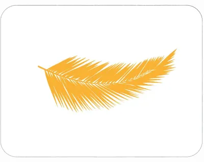 Produktbild von MG Design Set aus 4 Kork-Platzsets - Feather Gold - 30 x 40 cm - hitzebeständig & abwischbar, mit Korkrückseite