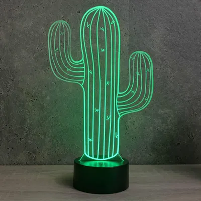 Image de Lampe 3D Cactus – LED 16 couleurs – Idée Cadeau – Fabriquée en France