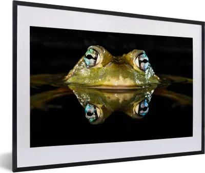 Produktbild von MuchoWow® Gerahmtes Poster Frosch - Augen - Porträt 60x40 cm - Poster mit Schwarzem Bilderrahmen Wandposter Rahmen Foto Bilder - Schlafzimmer - Plakat in Rahmen - Drucken