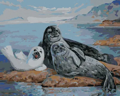 Produktbild von Zuty - Malen nach Zahlen - ROBBENFAMILIE, 40x50 cm, ohne Keilrahmen