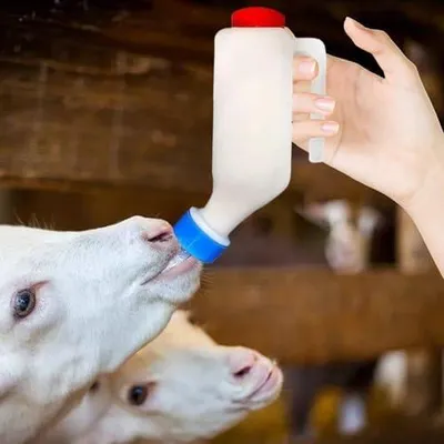 Zdjęcie produktu dla Butelki do karmienia kóz dla zwierząt domowych | Pojemniki na wodę dla owiec z podziałką, przeznaczone również dla kóz, szczeniąt, owiec, krów i małych zwierząt