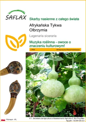 Zdjęcie produktu dla SAFLAX - Afrykańska Tykwa Olbrzymia - 15 Nasiona - Lagenaria siceraria