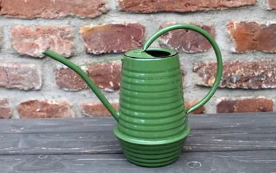 Obrázok produktu pre Kanva na zalievanie izbových rastlín zelená