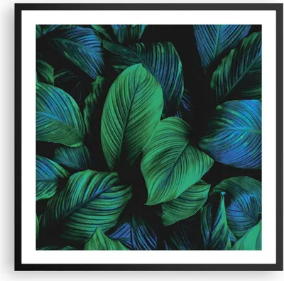 Produktbild von Gerahmtes Poster - Schwarzer Rahmen - Blätter Pflanzen Exotik - 60x60 cm - Wand Bild - Wanddeko - Wandbilder - Kunstposter - Wandposter - Bilderrahmen - Bilder - Kunstdruck - P2BAC60x60-5066