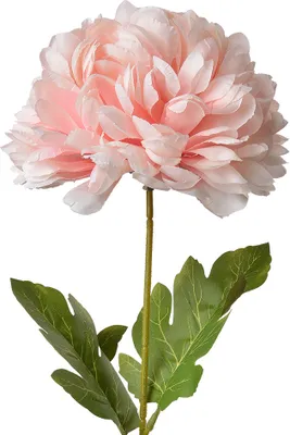Produktbild von Clayre & Eef Kunstblume 80 cm Rosa Kunststoff