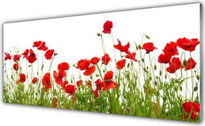 Produktbild von Acrylglasbilder 125x50 Wandbild Druck Wiese Mohnblumen Natur