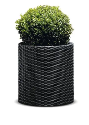 Obrázok produktu pre KETER Kvetináč Cylinder M 36 X 36 X 373 cm Antracit 229123