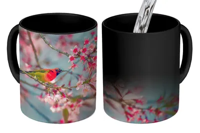 Obrázek produktu pro MuchoWow® Kouzelný pohár Pták - Sakura - barvy 350 ml Barva měnící se pohár Dárkový nápad - foto hrnek