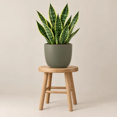 Produktbild von Mica Decorations Blumentopf - grun - Keramik - 17 x 16 cm