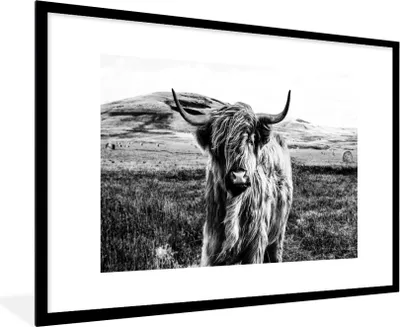 Produktbild von MuchoWow® Gerahmtes Poster Schwarz - Weiß - Schottischer Highlander - Gras 90x60 cm - Poster mit Schwarzem Bilderrahmen Wandposter Rahmen Foto Bilder - Wanddekoration - Fotos