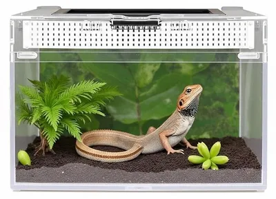 Productafbeelding van Terrarium voor Reptielen met Luchtopeningen