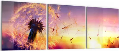 Produktbild von DEQORI Glasbild Echtglas 3x50x50 cm 'Pusteblume im Abendlicht' Wandbilder XXL groß