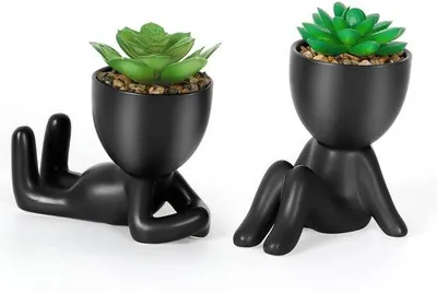 Image de Plantes artificielles, lot de 2, pot en céramique noir, décoration