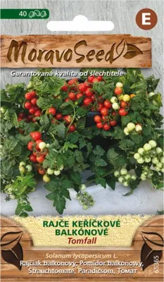 Obrázok produktu pre Paradajka kríčková balkónová TOMFALL červená