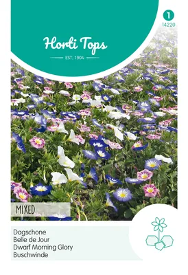 Produktbild von Buschwinde Tricolor Mischung | Blumensamen von Hortitops [MHD 07/2024]