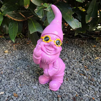 Produktbild von Gartenzwerg mit Stinkefinger und Sonnenbrille 18 cm rosa