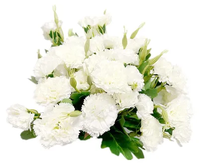 Produktbild von Solidchoice - 4 Kunstblumen-Arrangements mit weißen Nelken