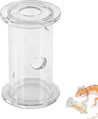 Image de Gamelle et jouets pour reptiles, design scientifique, en plastique, pour terrariums