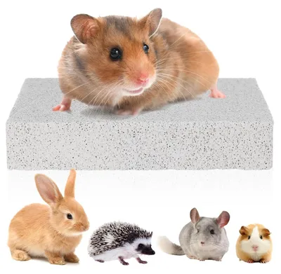 Vulkanischer Schleifstein für Kaninchen & Meerschweinchen