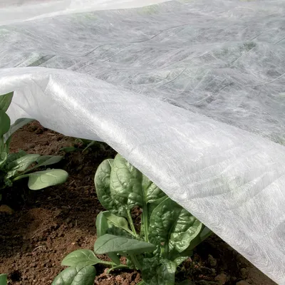 Produktbild von TENAX Ortoclima Plus Kälteschutzvlies, 1,60 x 10 m, für Pflanzen und Kulturen
