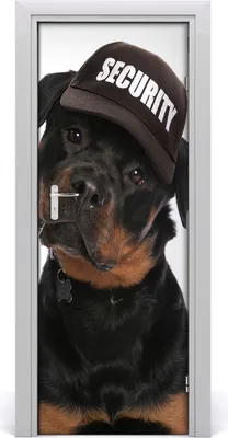 Produktbild von Tulup Türaufkleber 75x205 cm Dekorative Aufkleber Selbstklebend Wasserdichte Tapete Abnehmbar Schlafzimmer Wohnzimmer Wohnkultur - Rottweiler
