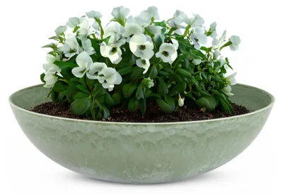 Produktbild von Pflanzschale für draussen Dekoschale rund grün Vintage 45 cm