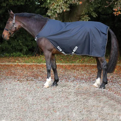 Image de Horseware Amigo Waterproof Walker Lite 100 g - Bleu marine, M