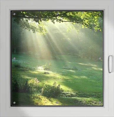 Produktbild von Wallario Lichtschutzbild, Dekorativer Sichtschutz Sonnenschutz 96 x 100 cm mit Motiv: Sonnenstrahlen im Wald - Verdunklung ohne Bohren