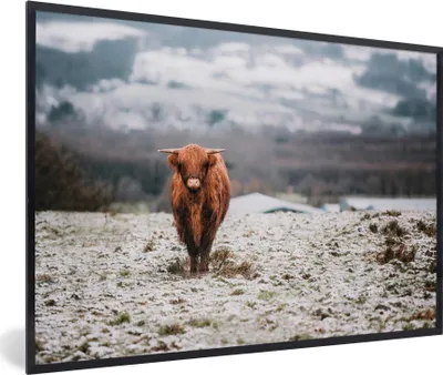 Produktbild von MuchoWow® MuchoWow® Gerahmtes Poster Schottisches Hochlandrind - Schnee - Berg 90x60 cm - Poster mit zchwarzem Bilderrahmen - Fotorahmen - Foto-Plakat
