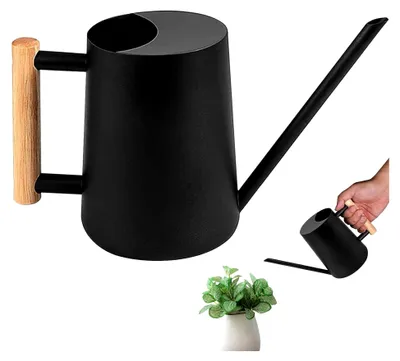 Produktbild von 1L Mini-Gießkanne für Innenräume mit langem Auslauf und komfortablem Holzgriff, Edelstahl, für kleinere Topfpflanzen, Blumengießkanne für Zimmerpflanzen, Sukkulenten, Blumen Setzlinge | Schwarz