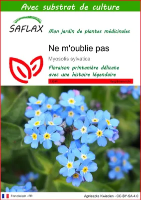 Image de SAFLAX  - Ne m'oublie pas - 150 graines - Avec substrat - Myosotis
