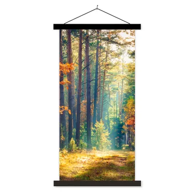 Produktbild von MuchoWow® Textilposter Wald - Sonne - Natur - Herbst 40x80 cm mit schwarzem Rahmen - Wandemalerei