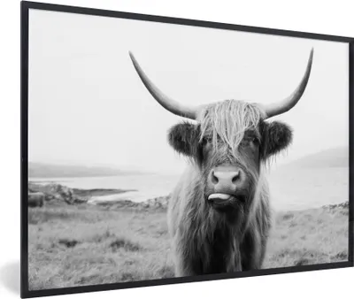 Produktbild von MuchoWow® Gerahmtes Poster Tiere - Schottischer Highlander - Kuh - Schwarz - Weiß 90x60 cm - Poster mit Schwarzem Bilderrahmen Wandposter Rahmen Foto Bilder - Fotorahmen - Foto-Plakat