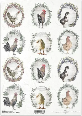 Produktbild von ITD Reispapier Decoupage Bastelpapier Serviettentechnik-R2055 Hühner, Hähne