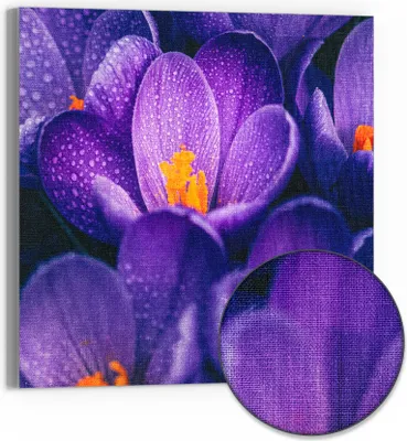Produktbild von DEQOART Hybrid Leinwand Bild 30x30 cm 'Taufrische Schönheit' Wandbild Glas flach modern